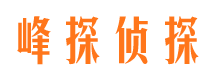 霍邱侦探